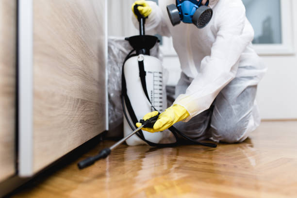 Reliable East Harwich, MA Pest Control Solutions