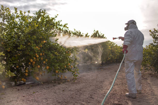 Best Exterminator Services  in East Harwich, MA