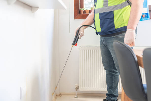 Best Rat Extermination Near Me  in East Harwich, MA