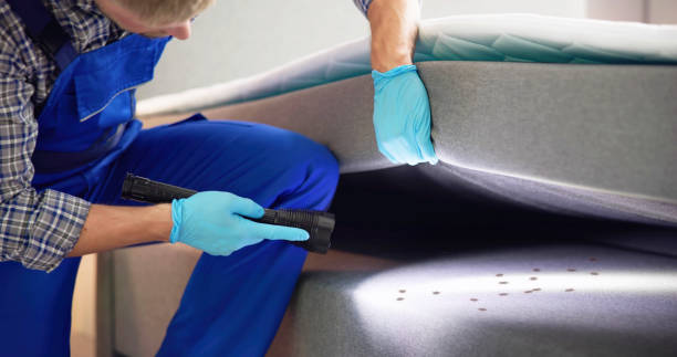 Best Emergency Pest Control  in East Harwich, MA