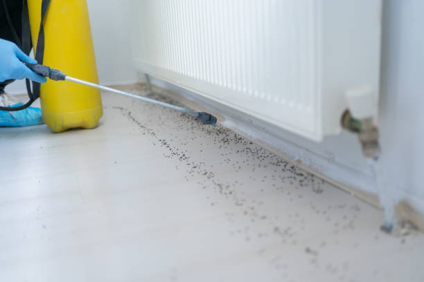 Best Pest Inspection Near Me  in East Harwich, MA