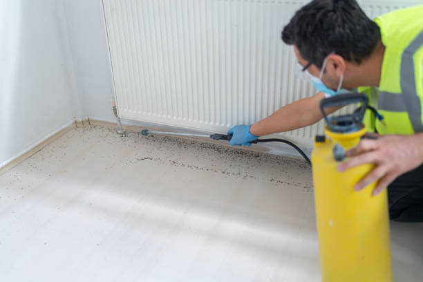 Pest Prevention Services in East Harwich, MA